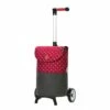 Andersen Unus Shopper Fun Dukko Boodschappentrolley Red -reis winkel image 5743